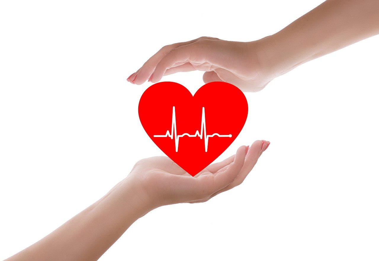 Premiers Secours